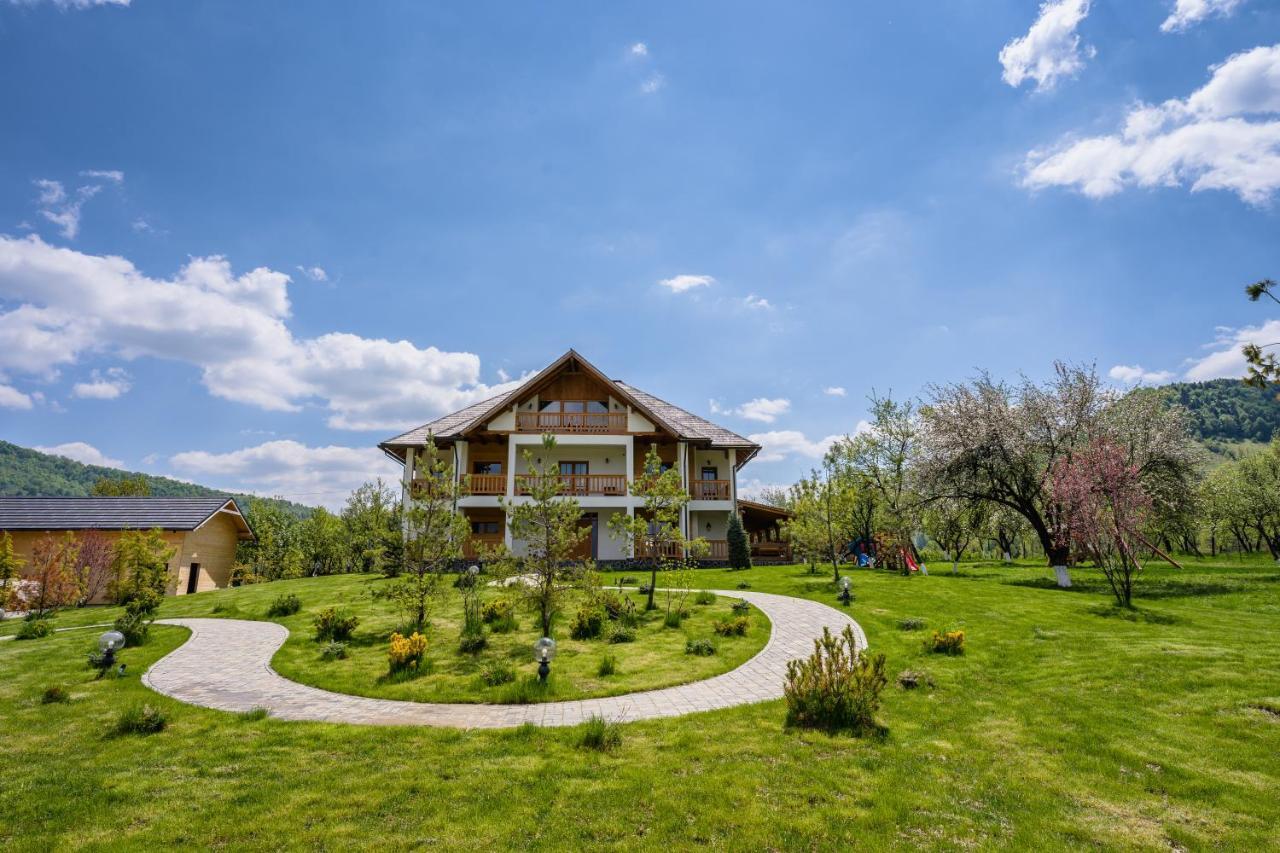 Pensiunea Coronita Viseu de Sus Ngoại thất bức ảnh
